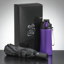 Primo everyday set: water bottle 550 ml & full automatic umbrella harvard