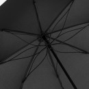 Business umbrella xenon