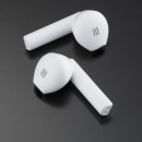 Wireless earphones Colorissimo tws active